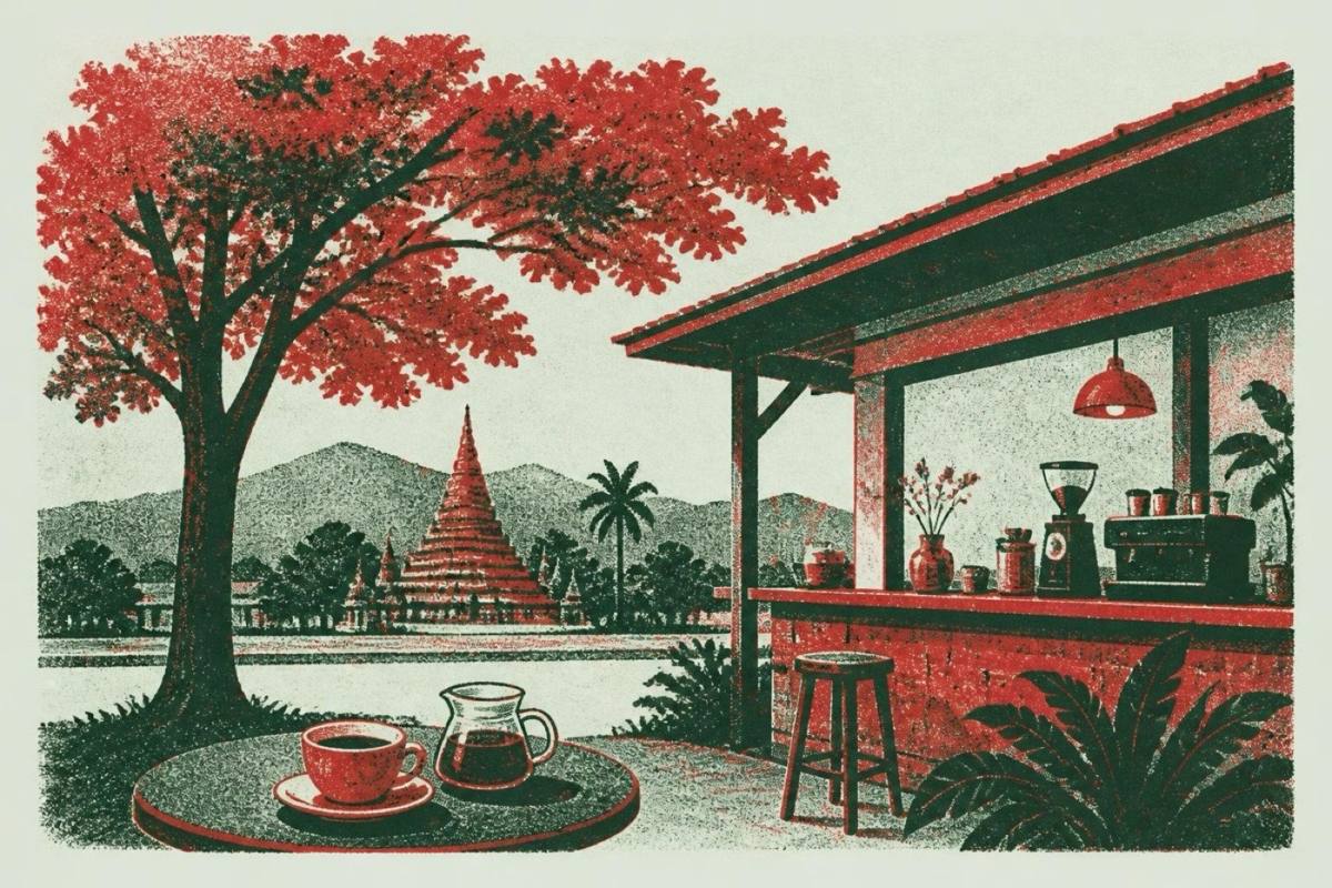Cotton Tree specialty coffee Chiang Mai Thailand guide