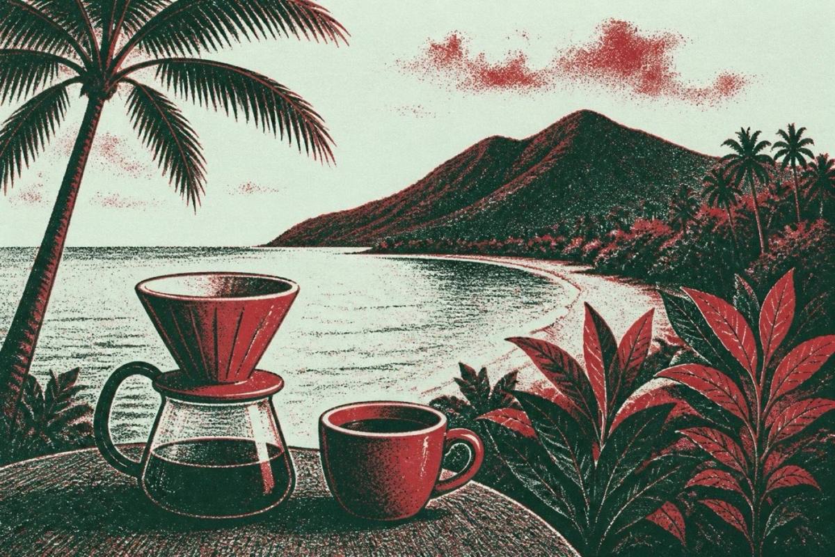 specialty-coffee-cairns-australia